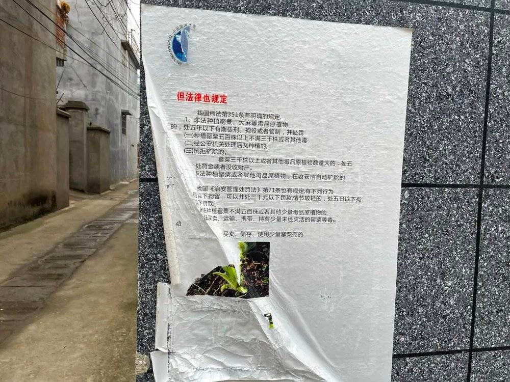 杨桥镇内,贴着的宣传单